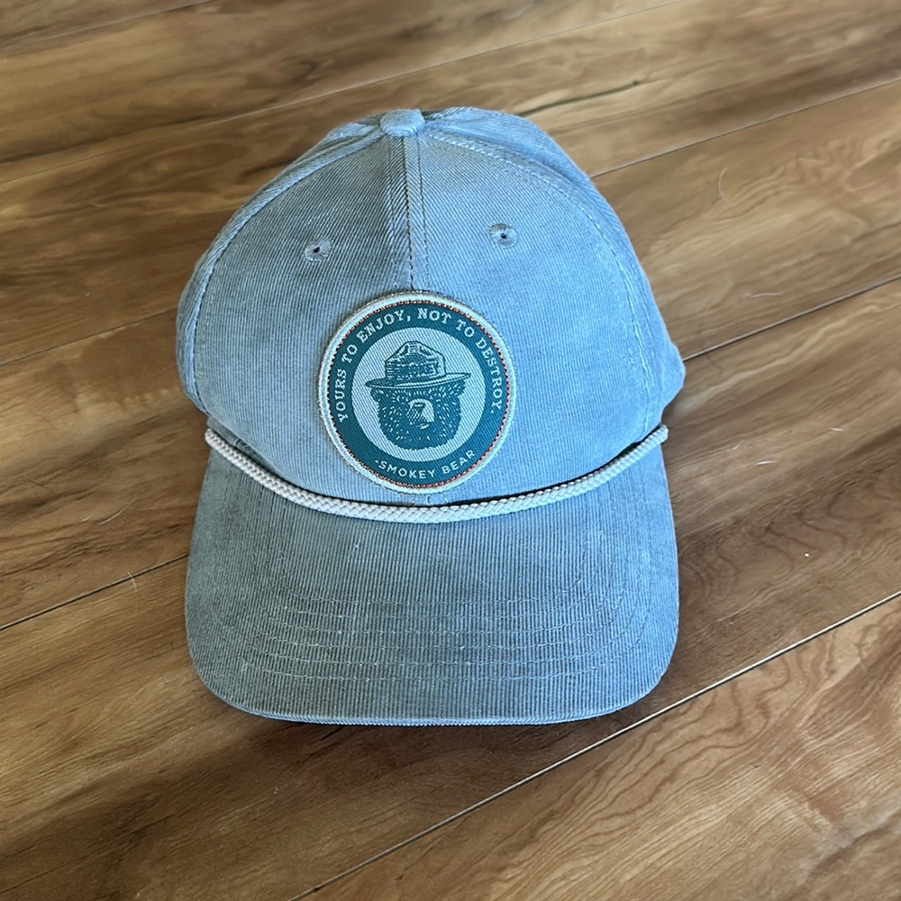 Smokey the bear hat